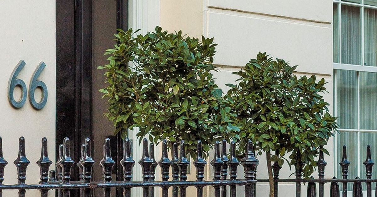 B+B Belgravia | Bed & Breakfast London | London B&B